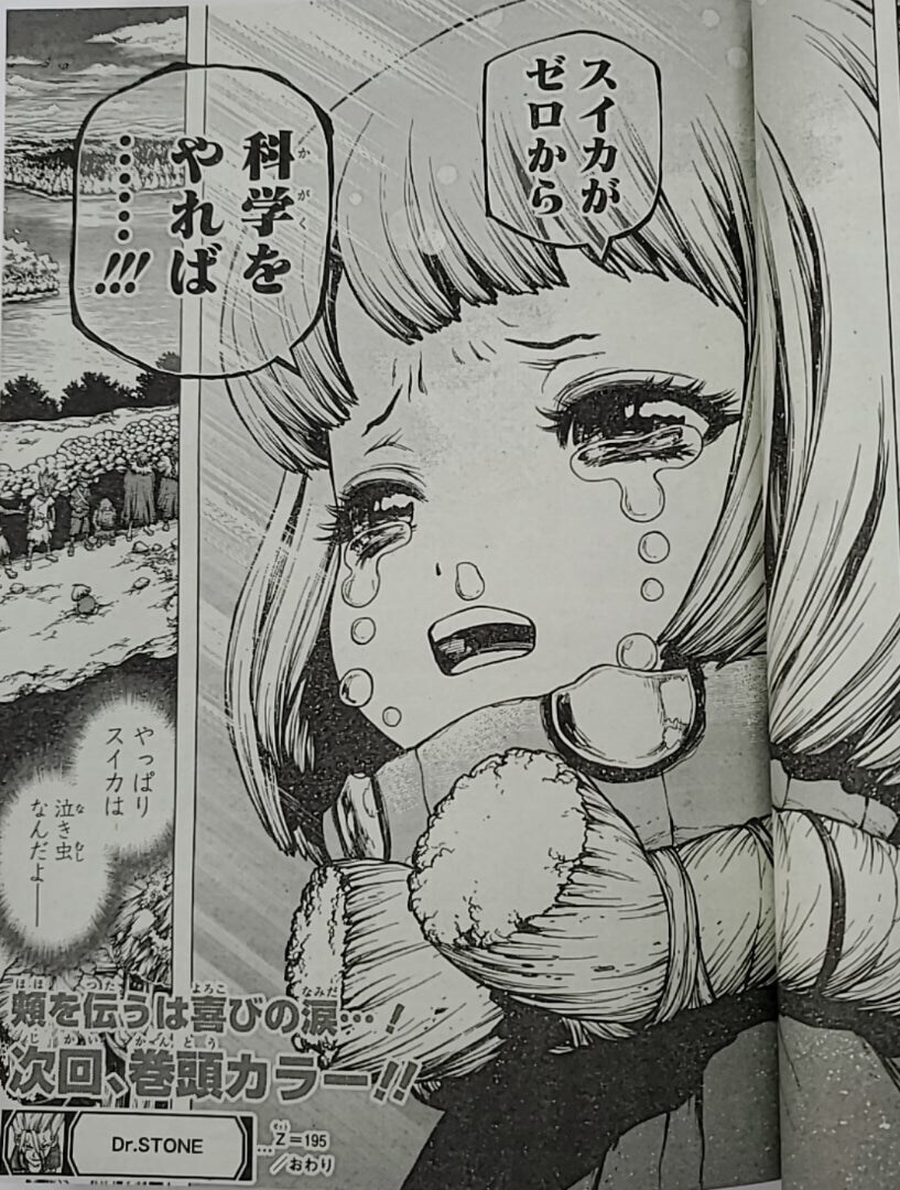[닥터 스톤] 스이카가 제로부터 과학을 한다면......!!!_17.jpg