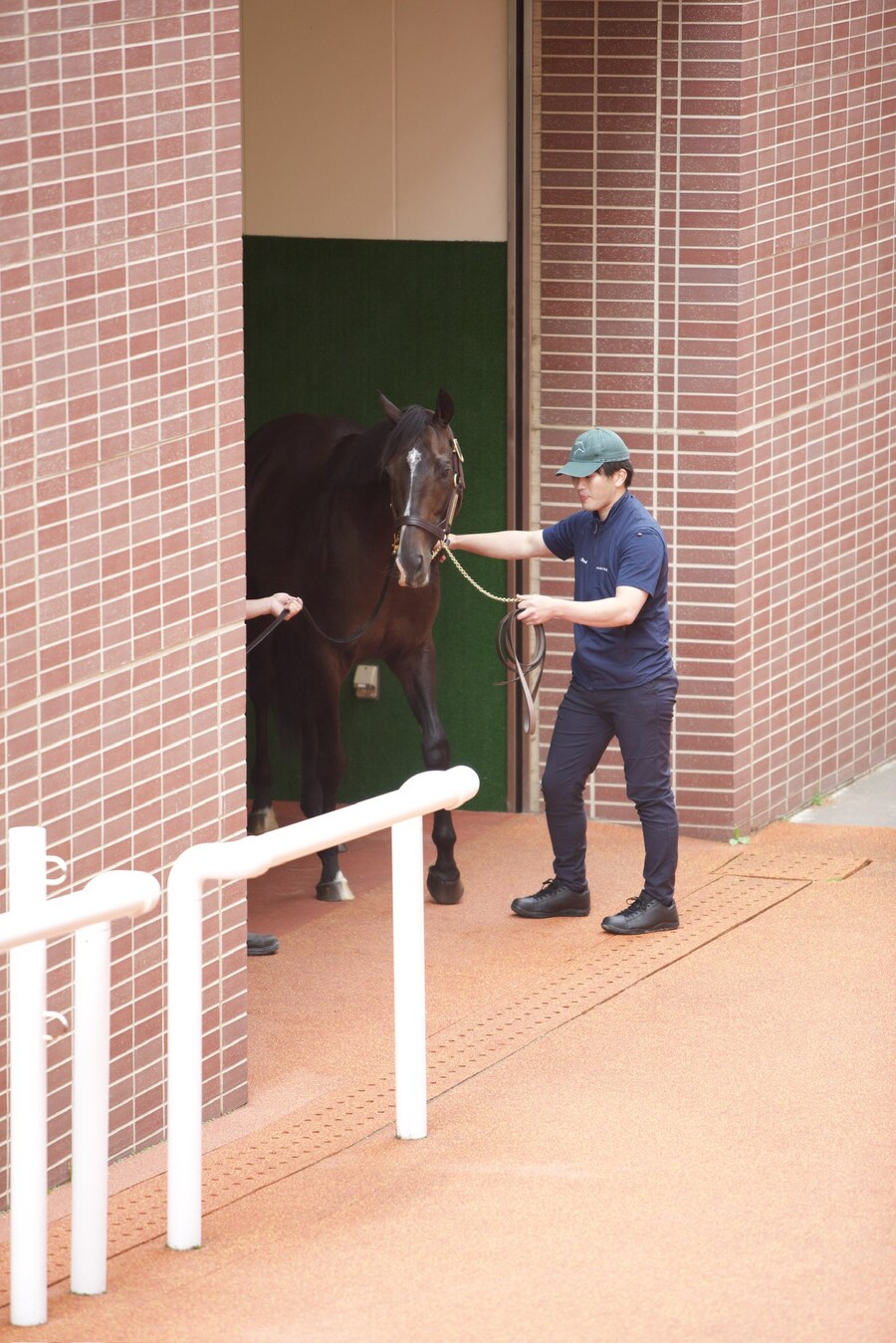 경마, 말딸 혈통) 은퇴 경주마의 팬미팅 행사에 구름처럼 몰려온 팬들._1.jpg