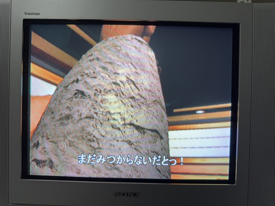 드캐 다이너마이트 데커2_6.jpg