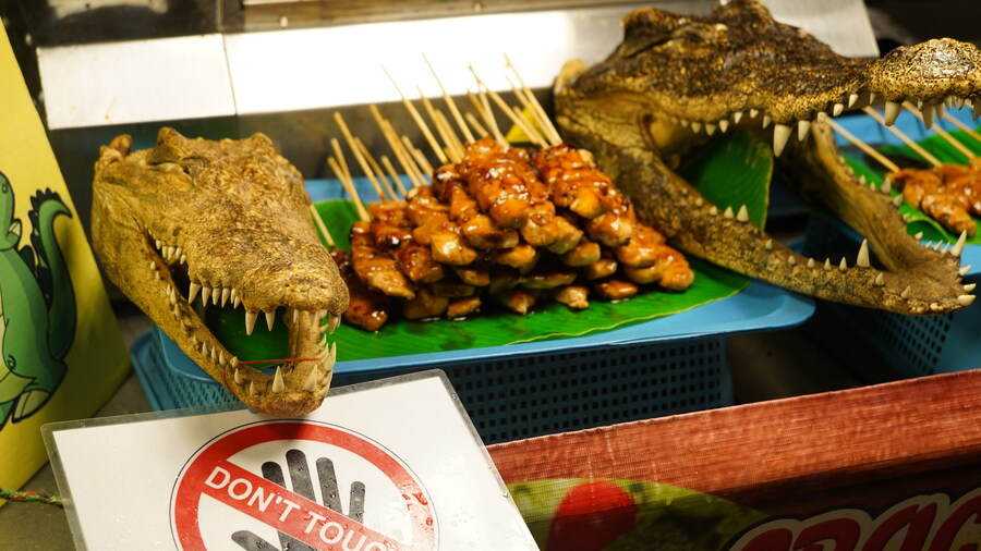 (스압)잘 다녀왔습니다._24.jpg