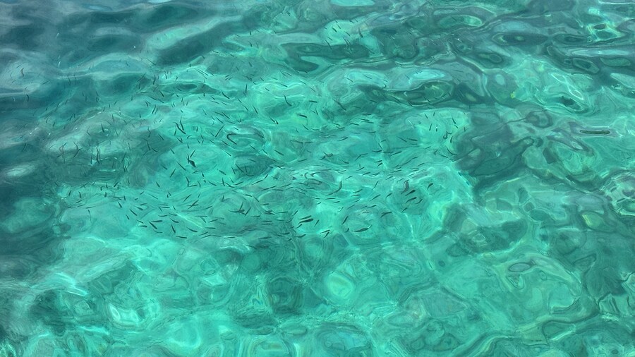 (스압)잘 다녀왔습니다._28.jpg