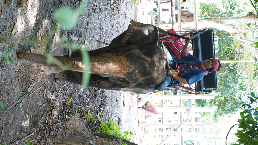 (스압)잘 다녀왔습니다._79.jpg