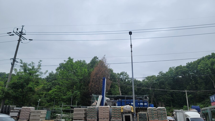 6월달 서울시립공원묘지 탐조_9.jpg