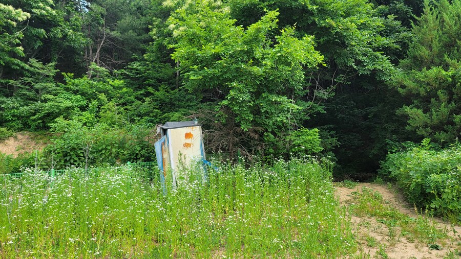 6월달 서울시립공원묘지 탐조_27.jpg