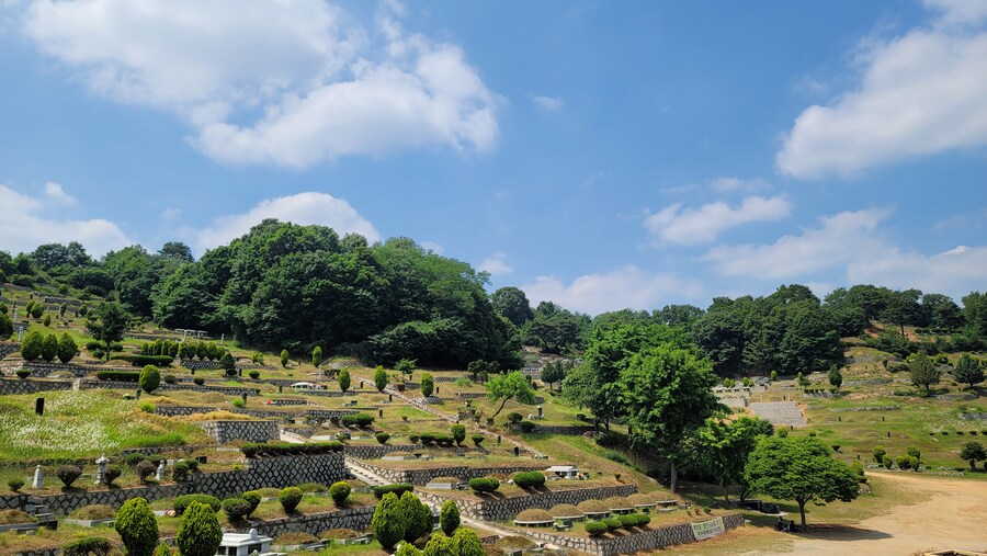 6월달 서울시립공원묘지 탐조_52.jpg