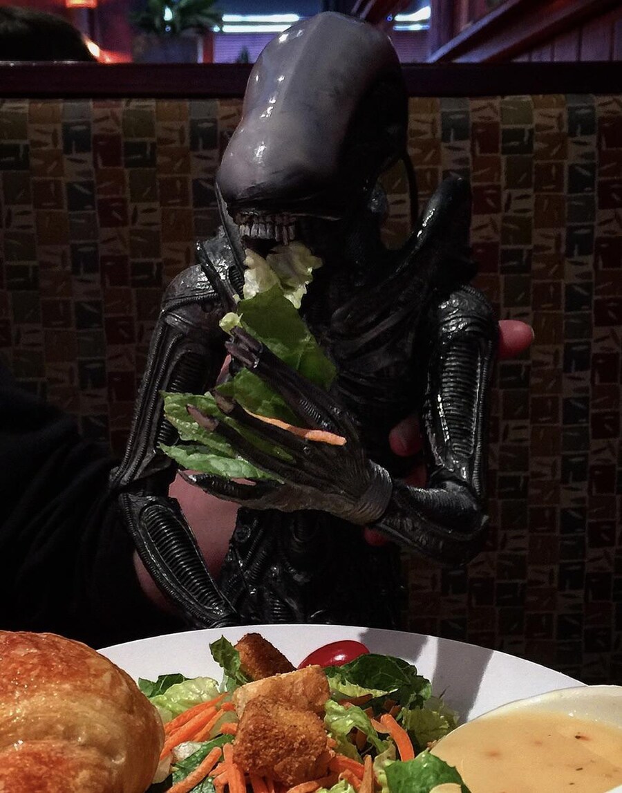 다시 생각해 봐도 에이리언과의 교감은 ㅈ 같은 소재인 게_1.jpg