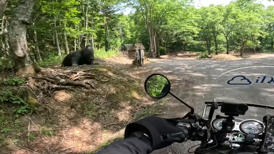 곰) 홋카이도 산케베쓰 불곰 사건 복원지 현장_2.png