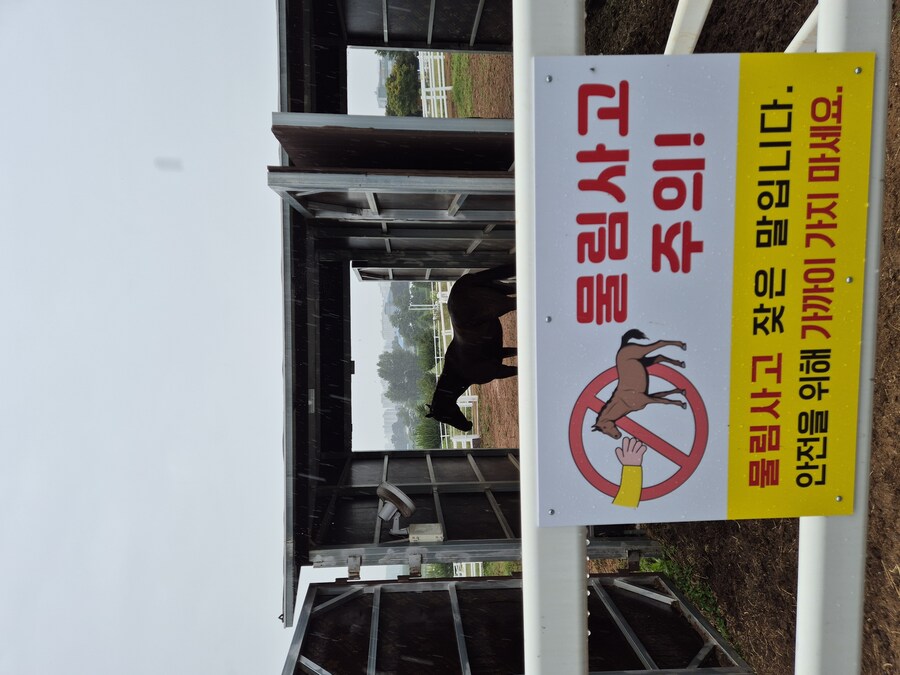 국내 최초(?)의 은퇴마 팬미팅 행사에 빠진 어느 경주마._4.jpg