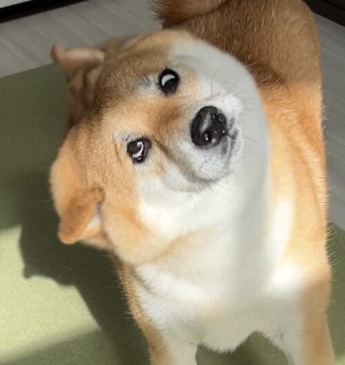 유게하다 두려울때_1.jpg