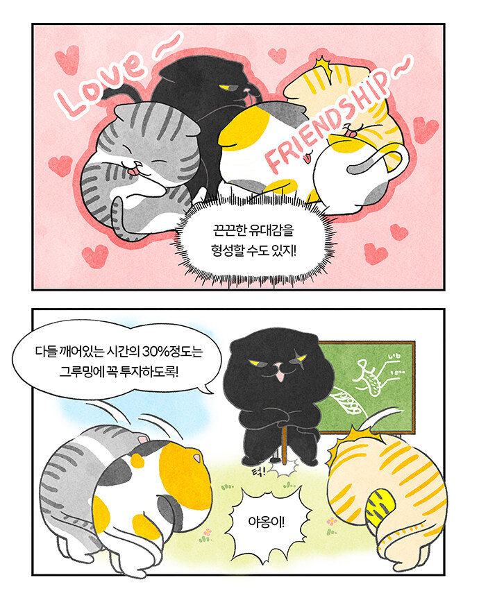 5959 비스트레인저 (EP. 22, 23)_3.jpg