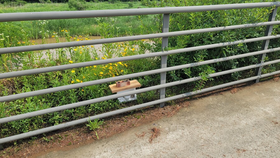 6월, 가볍게 공릉천 탐조_10.jpg