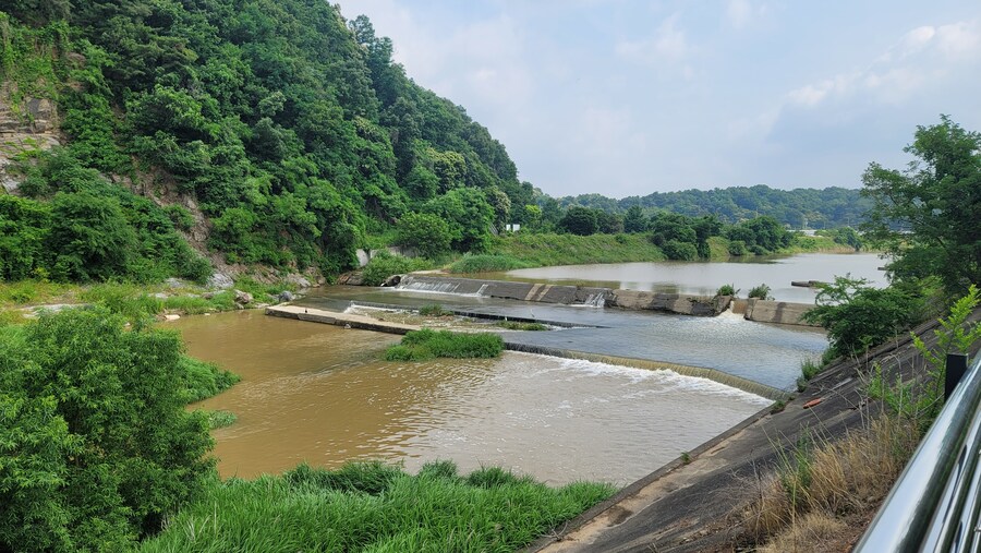 6월, 가볍게 공릉천 탐조_16.jpg