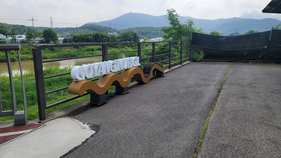 6월, 가볍게 공릉천 탐조_23.jpg