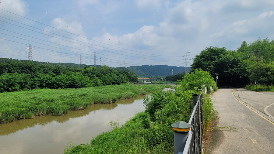 6월, 가볍게 공릉천 탐조_34.jpg