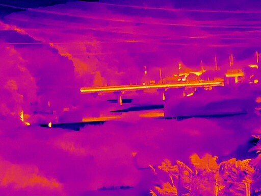 6월, 가볍게 공릉천 탐조_35.jpg