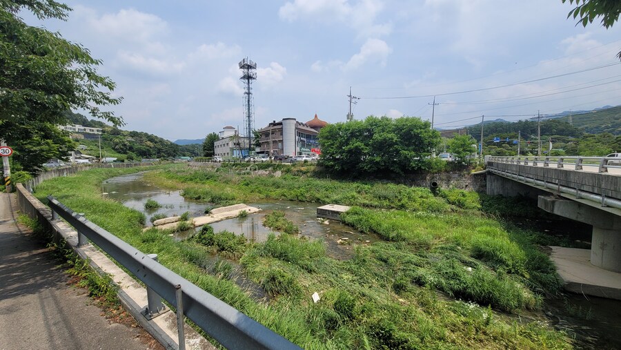 6월, 가볍게 공릉천 탐조_54.jpg