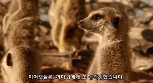 그간 격조했어요 + 추천 구걸 왔습니다_2.png