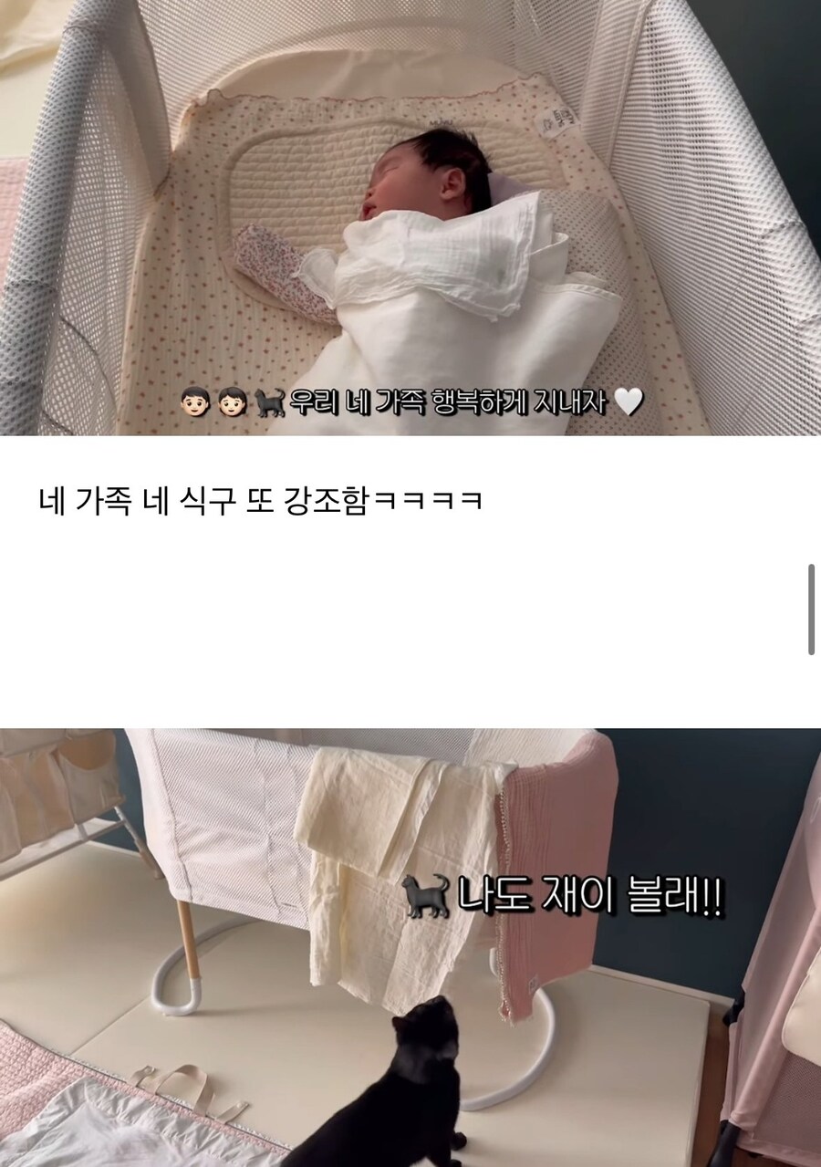 완전체가 된 박수홍네 가족_8.jpg