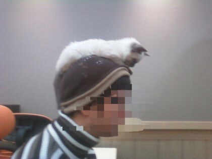 [오늘은 사랑이의 15살 생일입니다] (스압주)_11.jpg