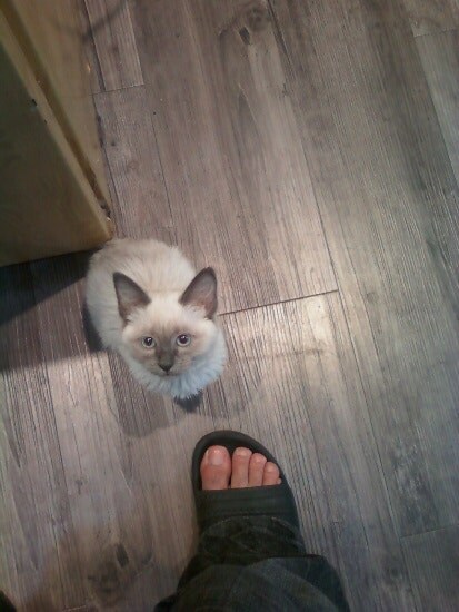 [오늘은 사랑이의 15살 생일입니다] (스압주)_13.jpg