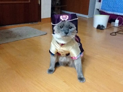 [오늘은 사랑이의 15살 생일입니다] (스압주)_62.jpg