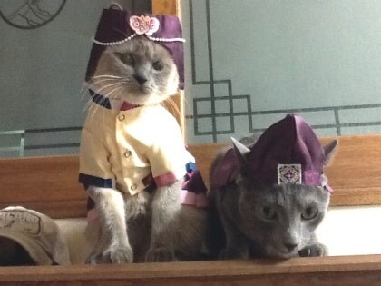 [오늘은 사랑이의 15살 생일입니다] (스압주)_64.jpg