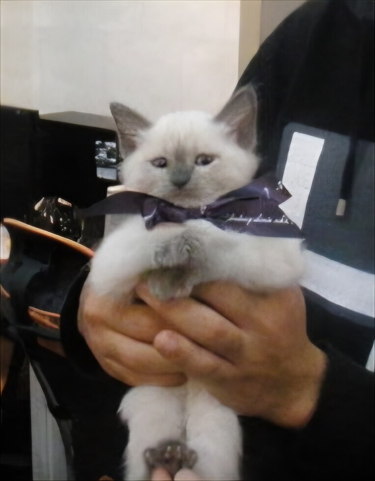 [오늘은 사랑이의 15살 생일입니다] (스압주)_123.jpg