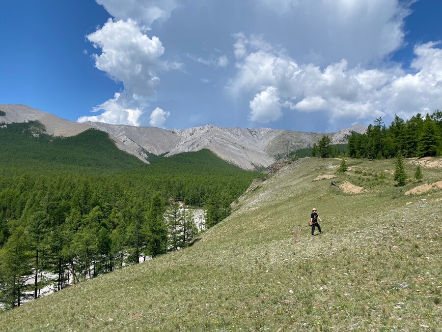 [곤충]국내 최초 불나방 증식 성공_9.png
