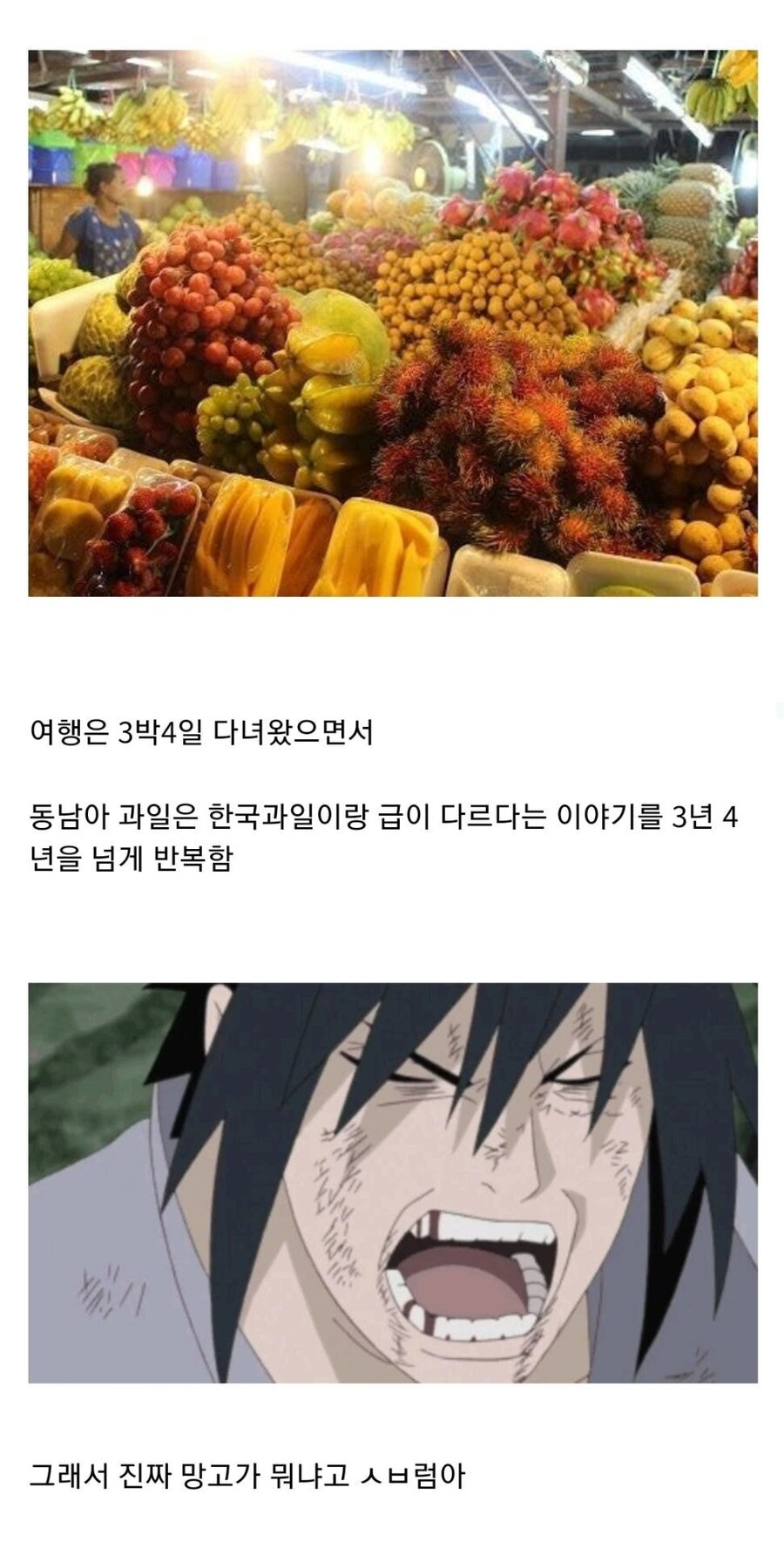 동남아 여행 다녀온 친구 특.jpg