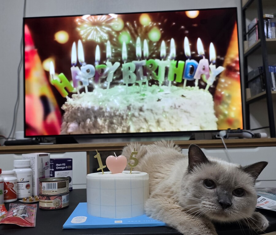 [사랑이 생일 기념 사진]_4.jpg