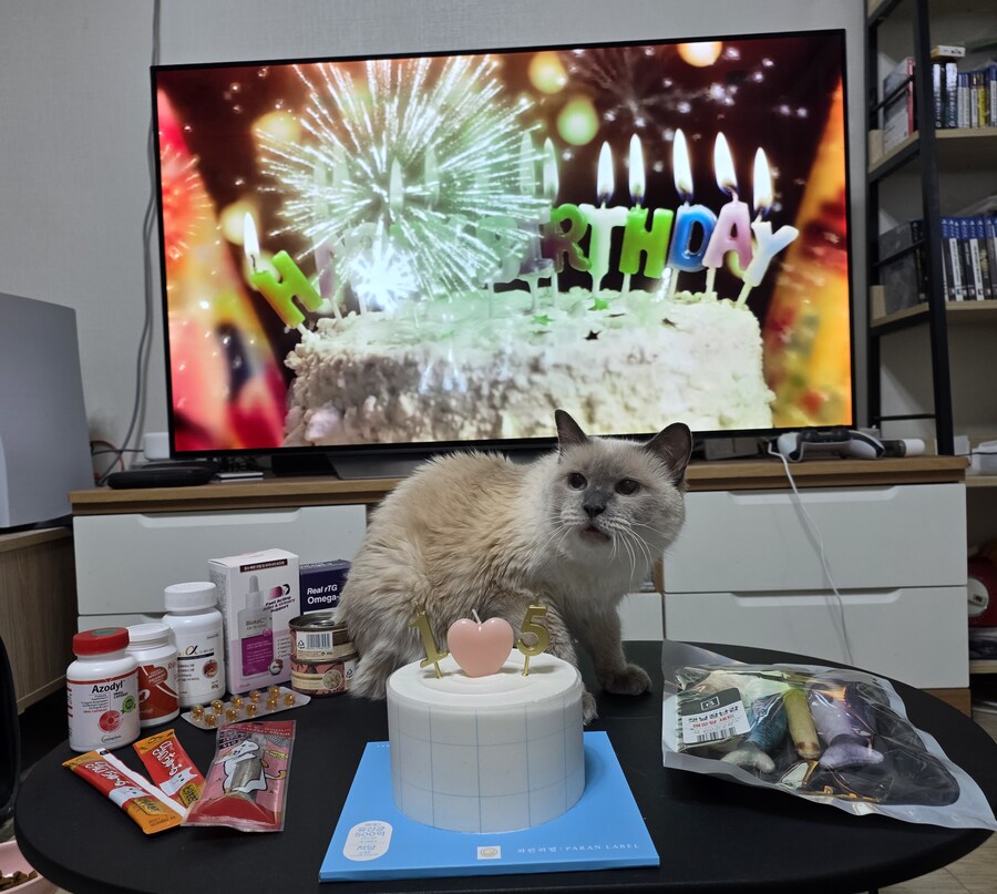 [사랑이 생일 기념 사진]_5.jpg