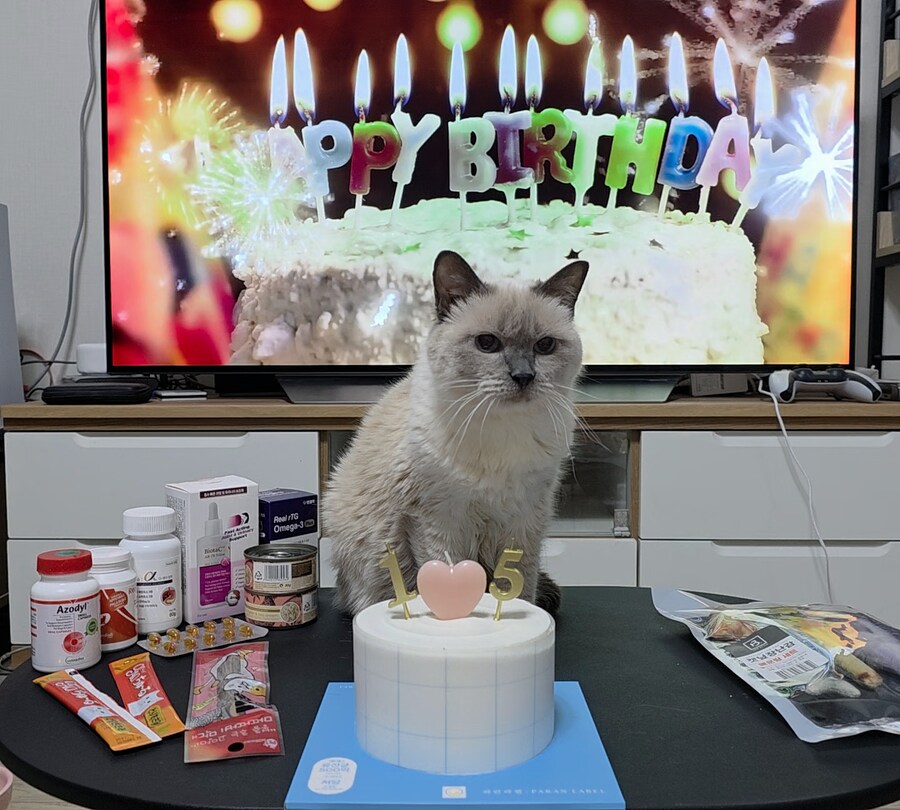 [사랑이 생일 기념 사진]_12.jpg