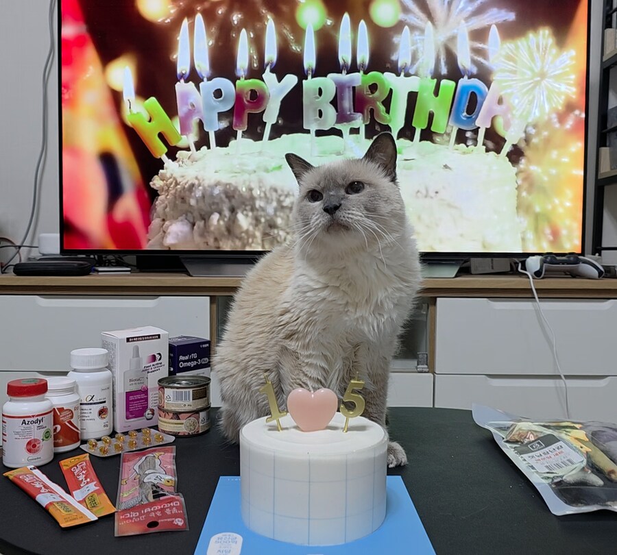 [사랑이 생일 기념 사진]_15.jpg