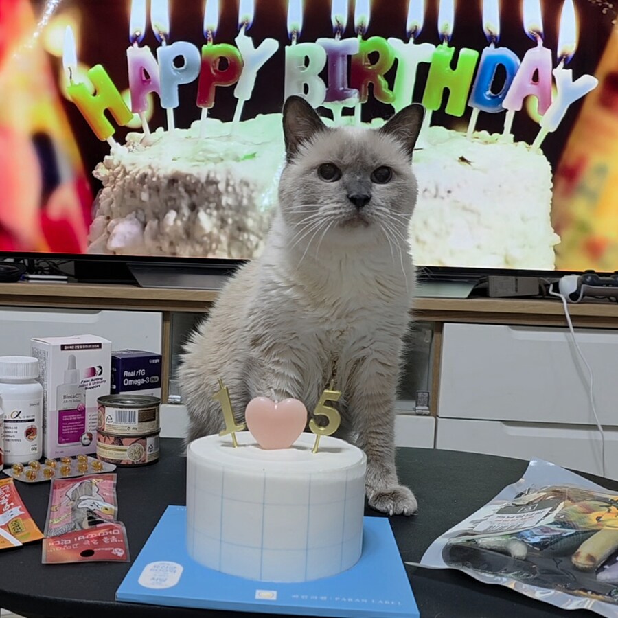 [사랑이 생일 기념 사진]_17.jpg