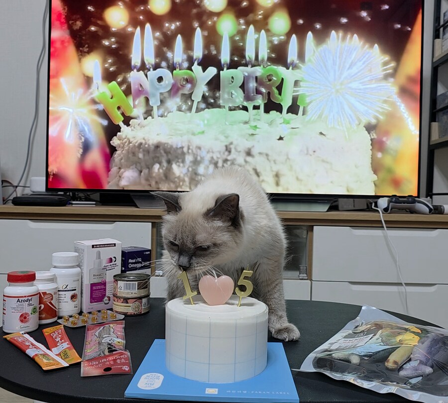 [사랑이 생일 기념 사진]_22.jpg