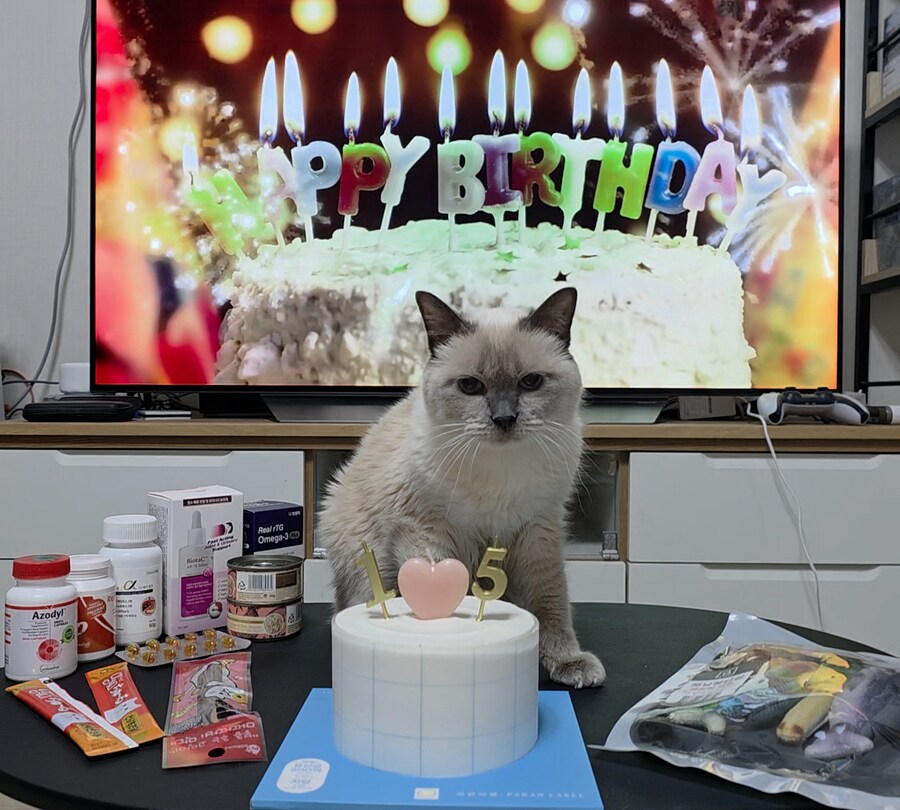 [사랑이 생일 기념 사진]_24.jpg