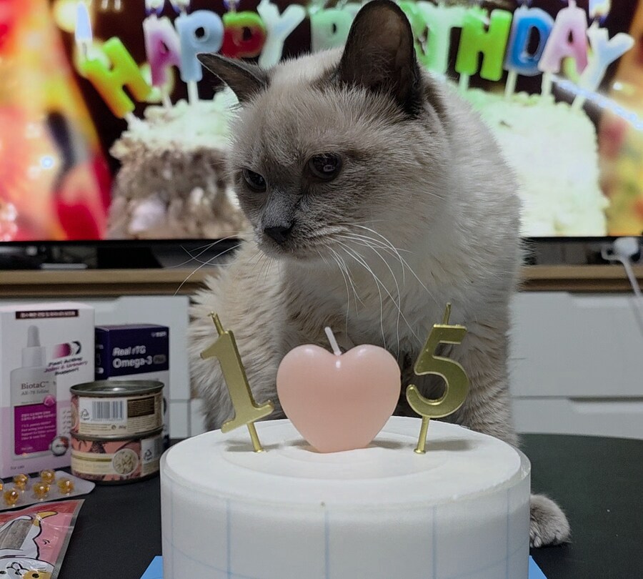 [사랑이 생일 기념 사진]_25.jpg