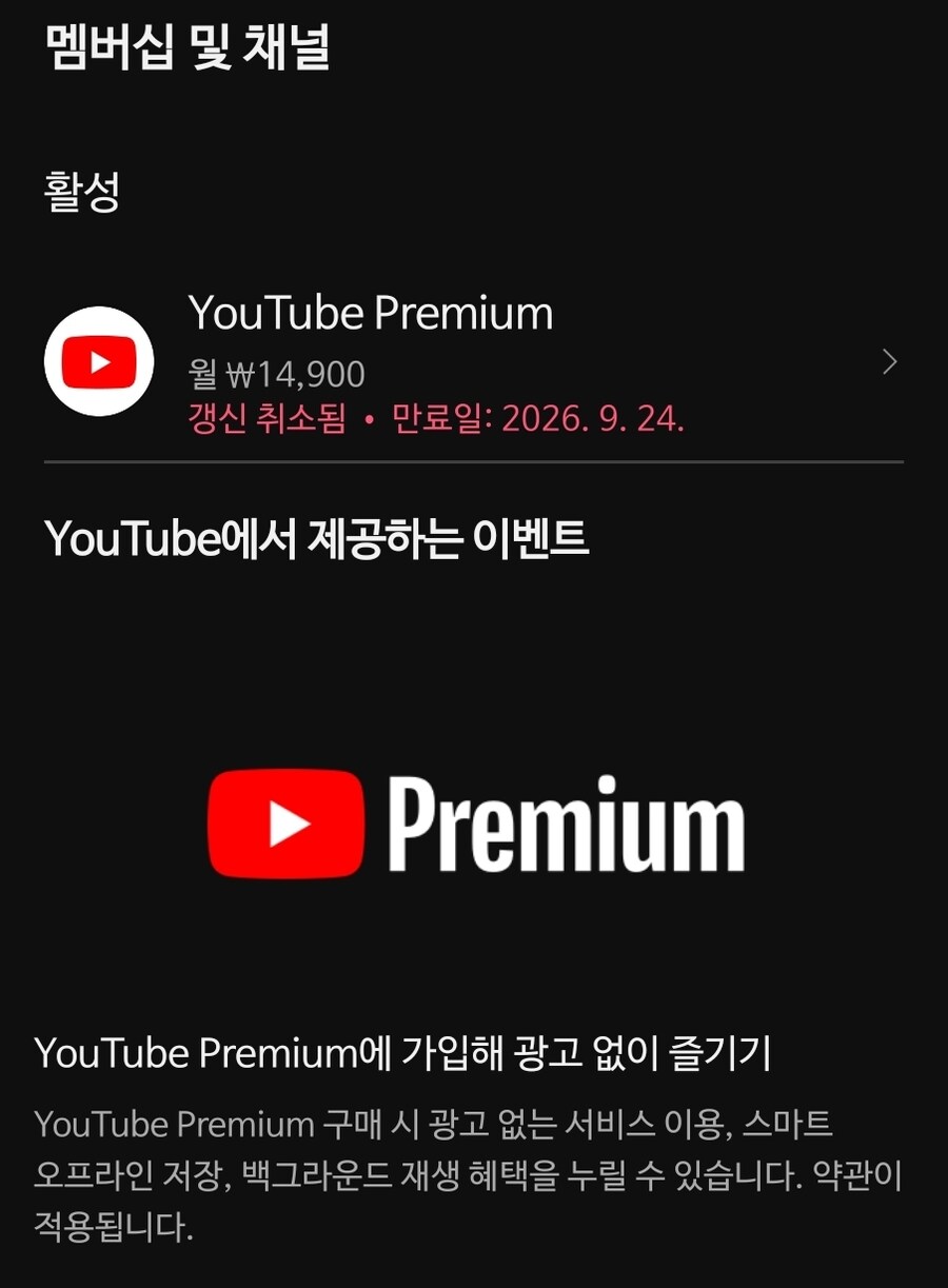 유튜브) 전 이제 한국인입니다._1.jpg