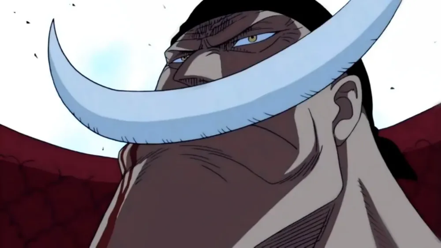 원피스 작중 묘사보면 사이가 나쁘진 않았을 애들_4.webp