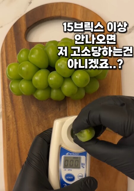 요즘 샤인 머스켓 당도 근황.jpg_4.png