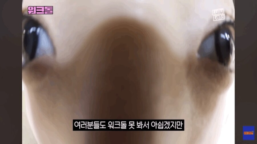 아이돌) 아... 엄청난 미인..._5.jpg