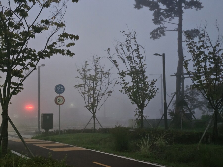 오늘날씨 사힐 이네요_2.jpg