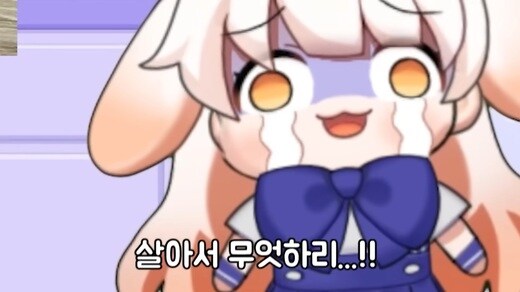 아까 50만원짜리 구형 pc파는곳 말이지..._1.jpg