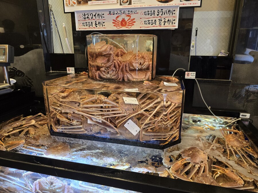 오사카-칸사이 부모님 모시고 효도 여행 1일차 - 도톤보리/나라공원/하루카스300_20.jpg