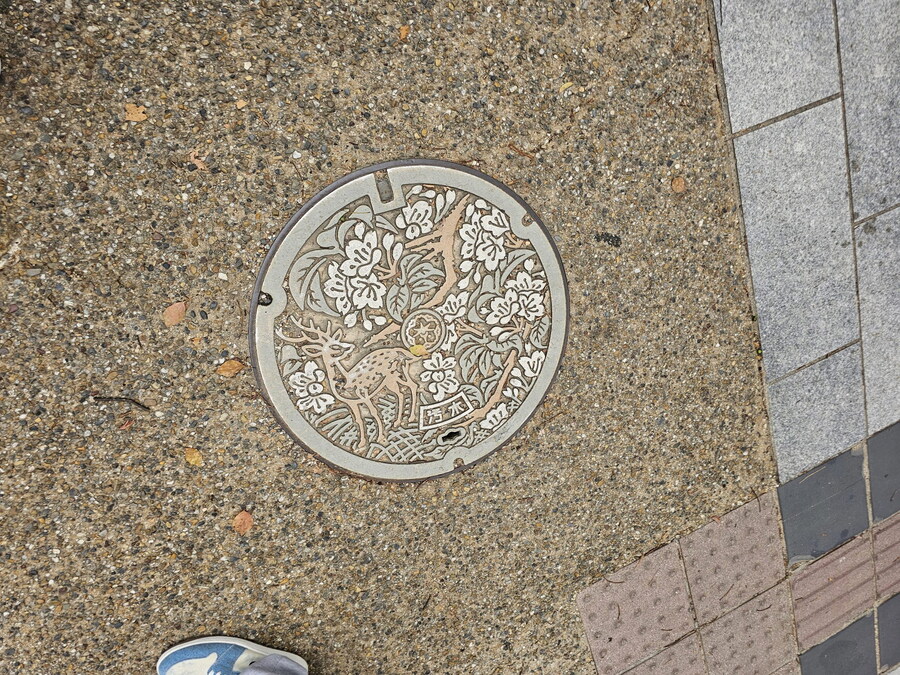 오사카-칸사이 부모님 모시고 효도 여행 1일차 - 도톤보리/나라공원/하루카스300_33.jpg