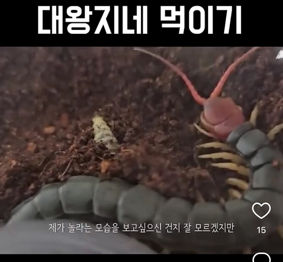 카카오톡) 업데이트 당한 사람을 위한 리빙팁_2.jpg
