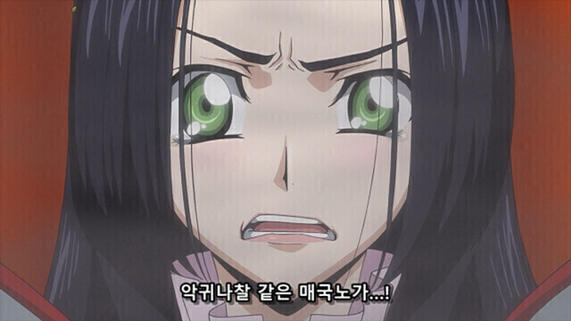 [코드기어스] 어떤 캐릭터에 대한 부연설명이 필요없는 완벽한 요약_2.jpg