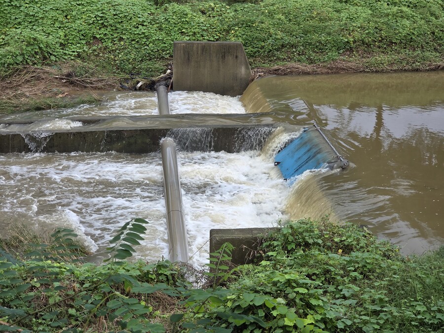 비개인 오후를 좋아하시나요?_2.jpg