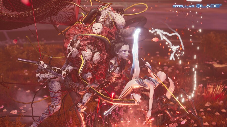 카라쿠리가 의외로 미인형이었단..._1.jpg