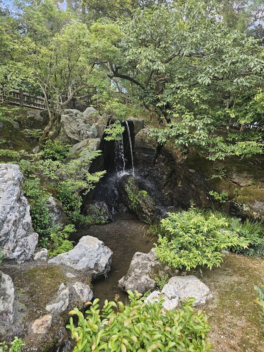 오사카-칸사이 부모님 모시고 효도 여행 4일차 - 교토_90.jpg